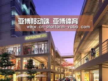 案例展示一