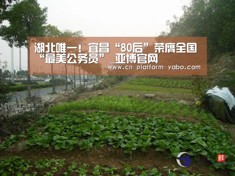湖北唯一!宜昌“80后”荣膺全国“最美公务员”_亚博官网(图1) 亚博体育官网