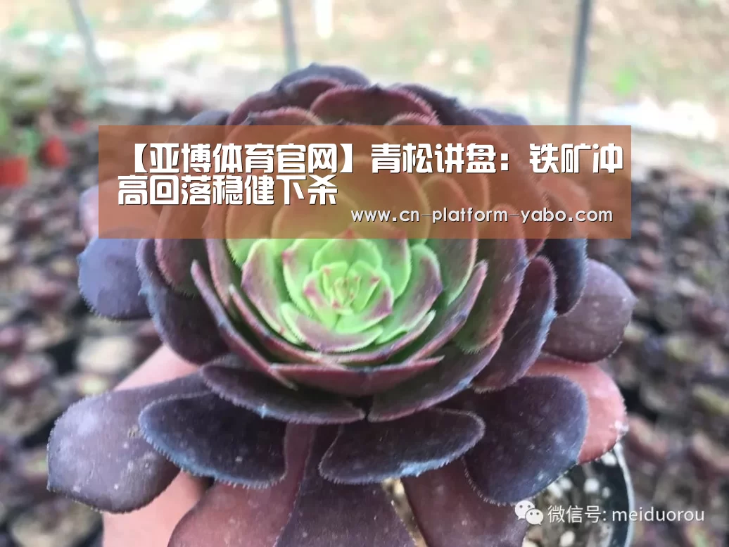 【亚博体育官网】青松讲盘:铁矿冲高回落稳健下杀(图1) 亚博官网
