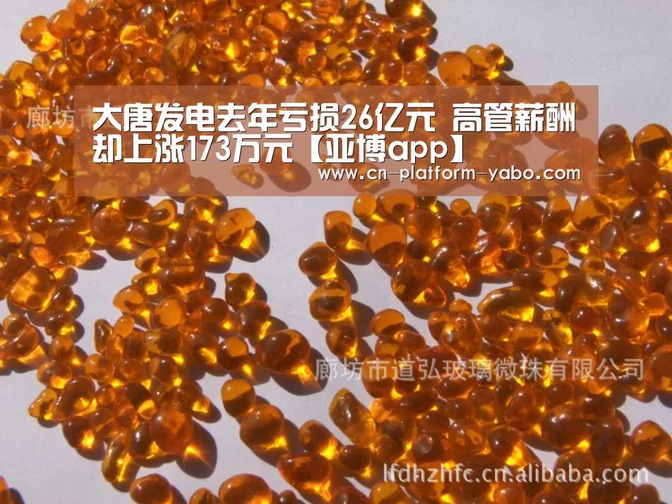 大唐发电去年亏损26亿元 高管薪酬却上涨173万元【亚博app】(图4) 亚博app