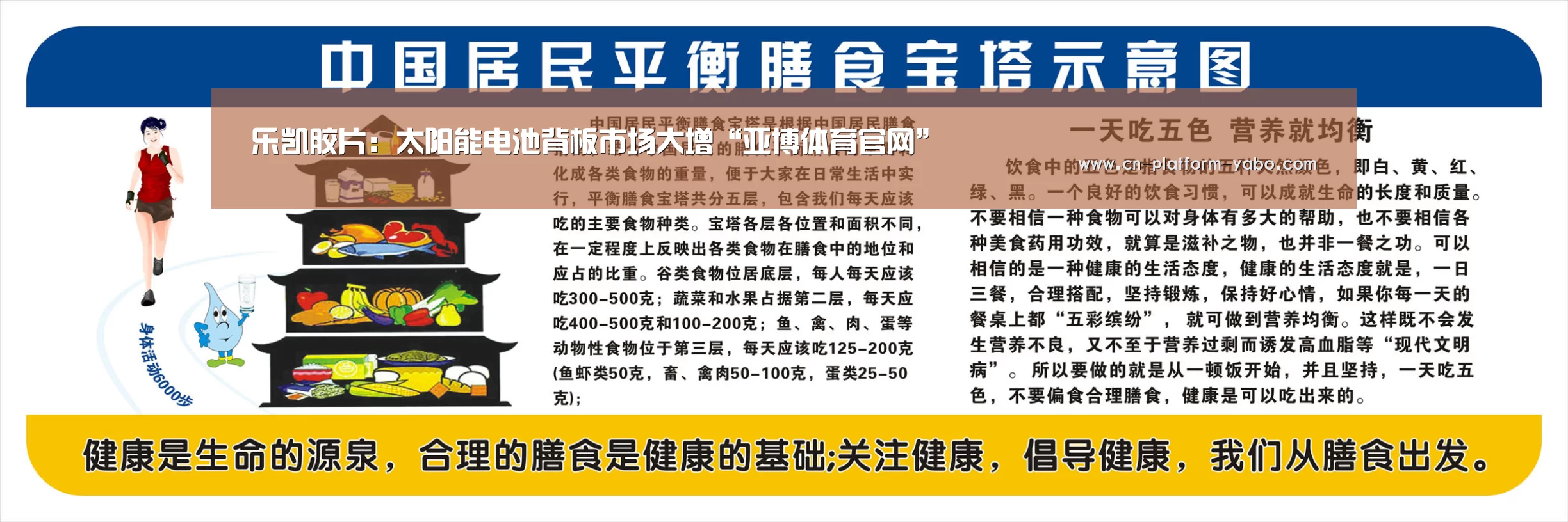 乐凯胶片:太阳能电池背板市场大增“亚博体育官网”(图3) 亚博体育官网
